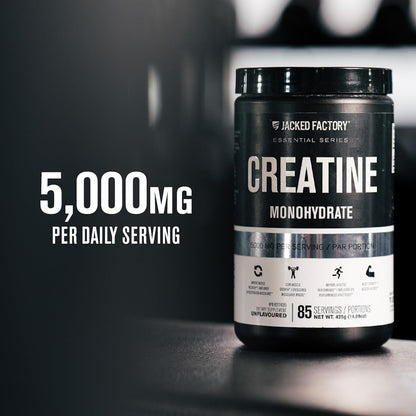 Creatine Monohydrate Powder 425G - Creatine Supplement for Increased Muscle Mass*, Improved Strength, Power, & Performance** - 85 Servings, Unflavored